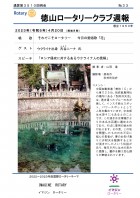 ̻裳ɽ