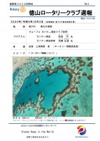 ̻裳ɽ