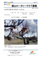 ̻裳ɽ