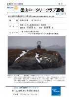 ̻裳ɽ