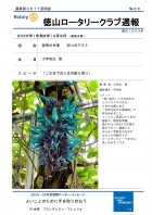 �̻��裳��������ɽ��