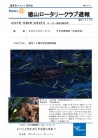 �̻��裳��������ɽ��